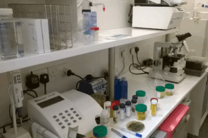 Diogenous Biomedical Laboratory