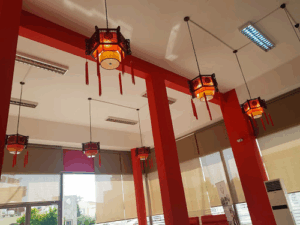 Dynasty Express Chinese/Sushi/Indian