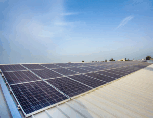 EnergyIntel Services Ltd