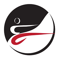 Filippos Taekwondo ITF Nicosia