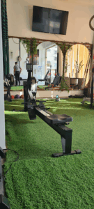 Nbg Physiotherapy & Performance